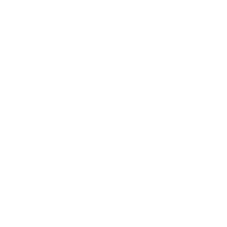 Logo LuigiVelo.ch
